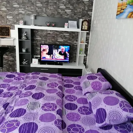 Apartman Starcevic Apartment Vrsac